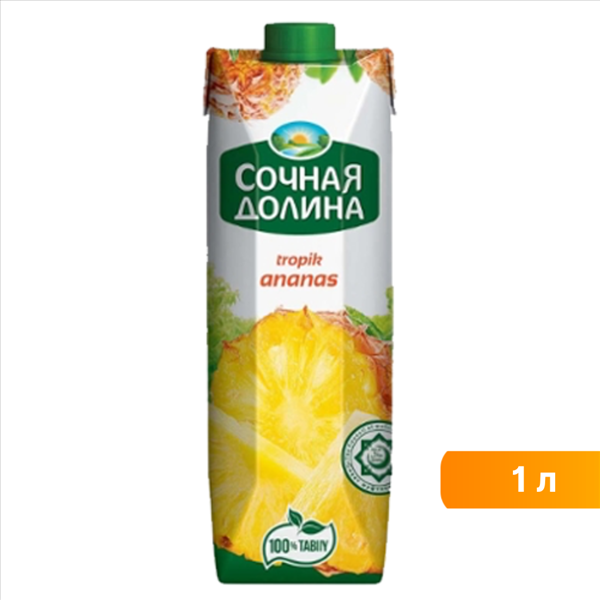 Сок Сочная долина ананасовый