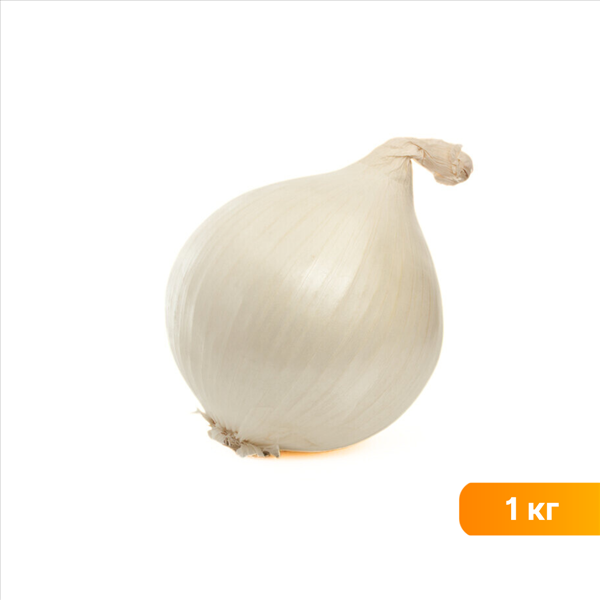 Лук белый